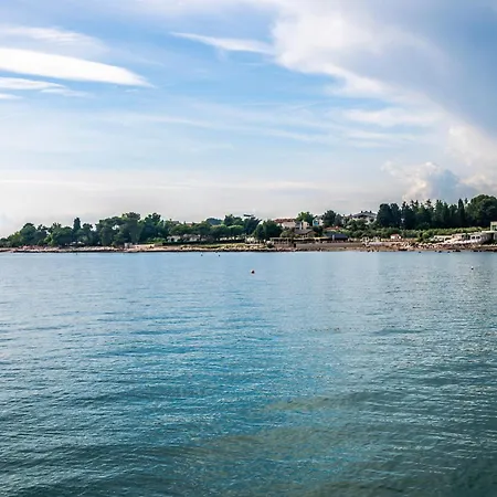 Lu * Umag